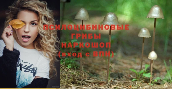 тгк Абинск