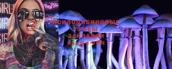 гашик Абаза