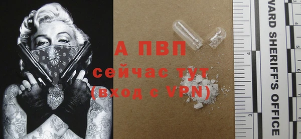 гашик Абаза